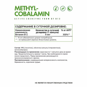 метил