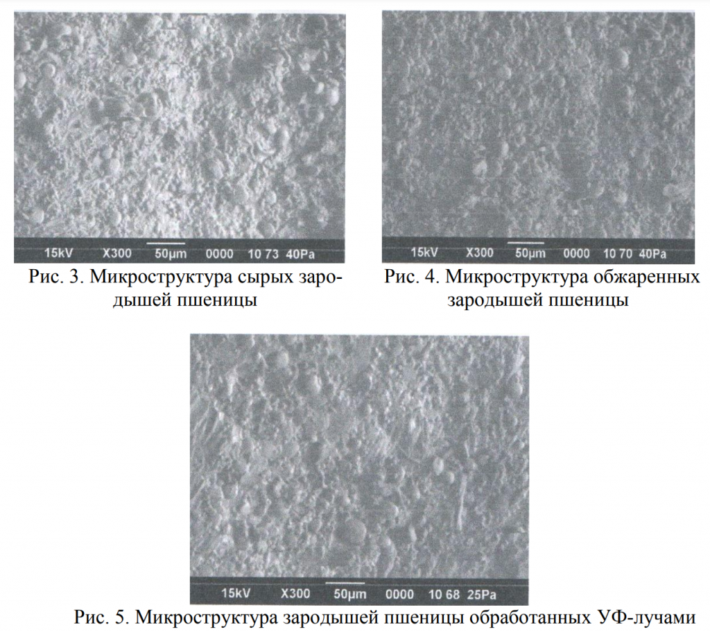 ИЗ ЗАРОДЫШЕЙ ЗЕРНА ПШЕНИЦЫ.pdf - Облако Mail 2024-09-18 13-09-07.png